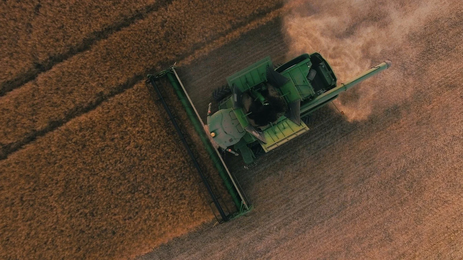 A combine harvester working in a golden field, seen from above