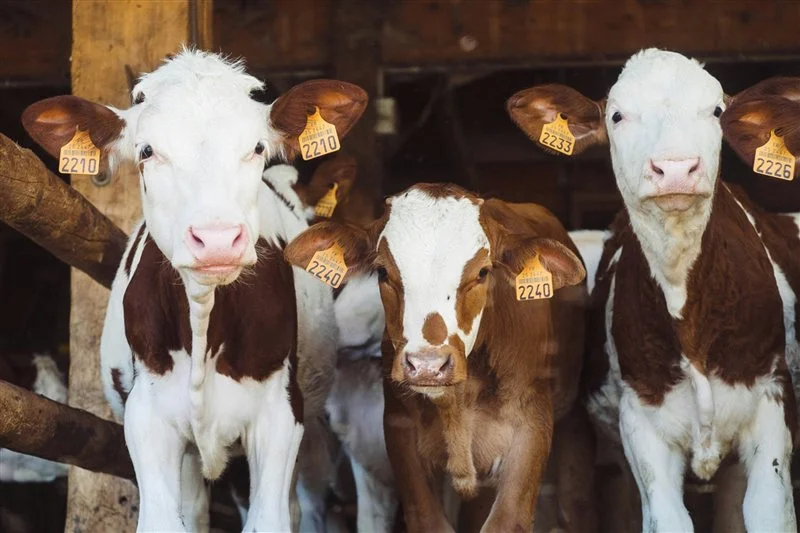 Unlock farms’ potential now!